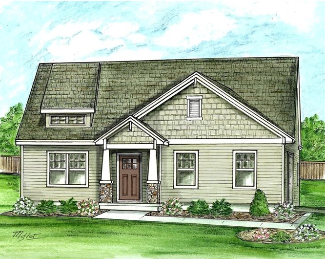 Image of Birch - Craw Farm